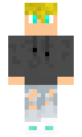 Professionaldiot minecraft skin