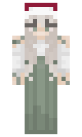 2478792170a9fa minecraft skin