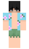 Naholly minecraft skin