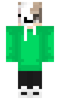 2484a11d8f4593 minecraft skin