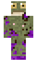 24940621badb17 minecraft skin