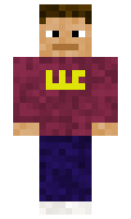 ONGB minecraft skin