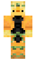 24a9f4bbb5a9d0 minecraft skin