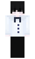 Stray minecraft skin