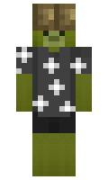 rockymine minecraft skin