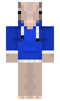 24e863a826f9a3 minecraft skin