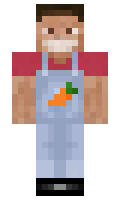 250e0ad23f17b8 minecraft skin