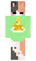 250f0df31b145f minecraft skin