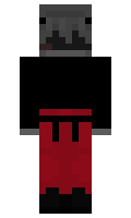 25178fbad617fd minecraft skin