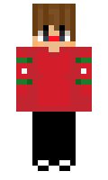 251f47b442a815 minecraft skin