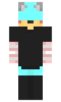 2521b068fd13ea minecraft skin