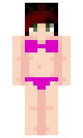 25270e91db7585 minecraft skin