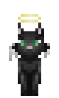 2529099a6d7074 minecraft skin