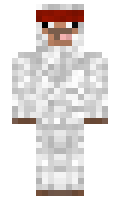 sirwheels minecraft skin