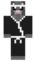 Vani minecraft skin