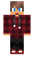 Perk minecraft skin