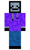 ejvigg minecraft skin