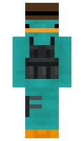 255648a1acaab2 minecraft skin