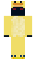 255976dfa2e794 minecraft skin