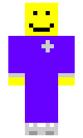 vippopper minecraft skin