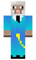 erva272 minecraft skin