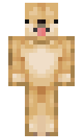 Scush minecraft skin
