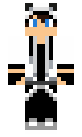 tomsters minecraft skin