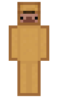 umL minecraft skin