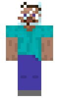 25d7c43d2979ec minecraft skin