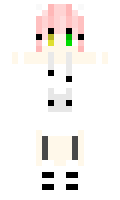 25d94c0f8d5fc7 minecraft skin