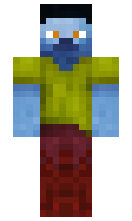 chicco minecraft skin
