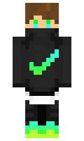 twittgoo minecraft skin