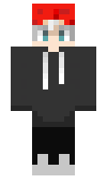 2647077f98e341 minecraft skin