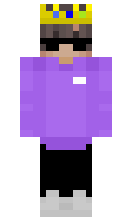 WxntrX6580 minecraft skin