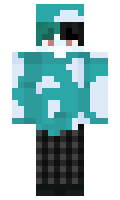 265bb63f75406a minecraft skin