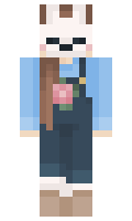 265cff75b6dfd5 minecraft skin