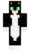 266d5c5c6e9f70 minecraft skin