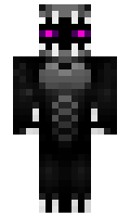 SuperBenny9 minecraft skin