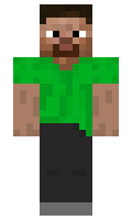 leonx minecraft skin