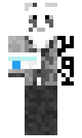 26e823cf31988d minecraft skin