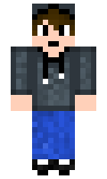 LH29 minecraft skin