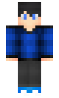 TheIcePhoenix minecraft skin