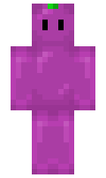 26fdb1354cc302 minecraft skin