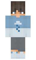 270e0d102f8fe2 minecraft skin