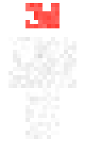 Artiin minecraft skin