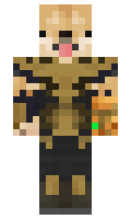 AlonVinter minecraft skin