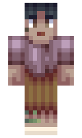 HoshiWomp minecraft skin