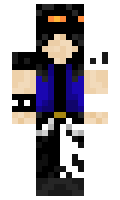 243 minecraft skin
