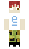 FFOP minecraft skin