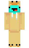 2767b65ed5869b minecraft skin